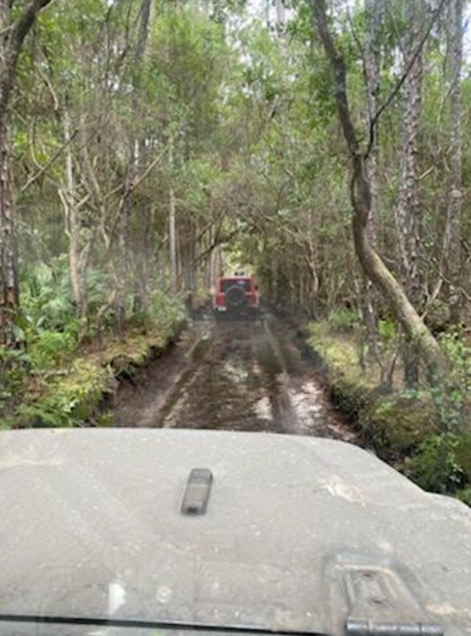 Roamer Earns her first Badge of Honor: Ocala National Forest in FL