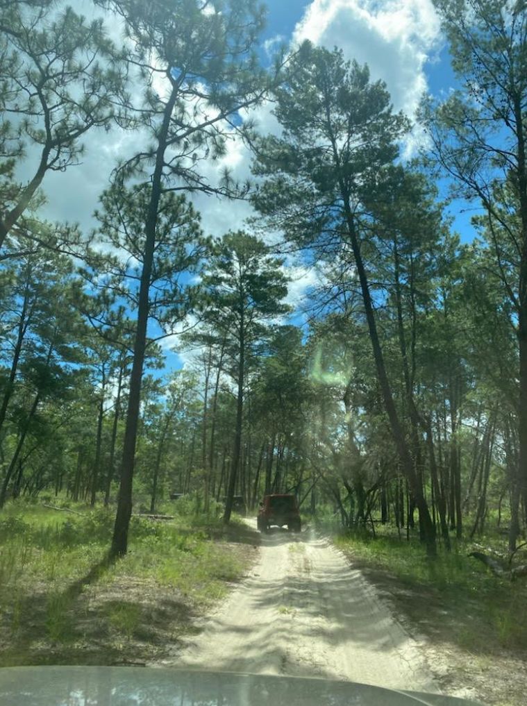 Roamer Earns her first Badge of Honor: Ocala National Forest in FL