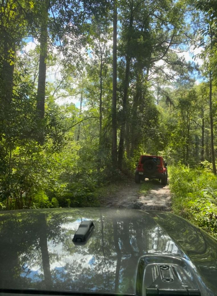 Roamer Earns her first Badge of Honor: Ocala National Forest in FL