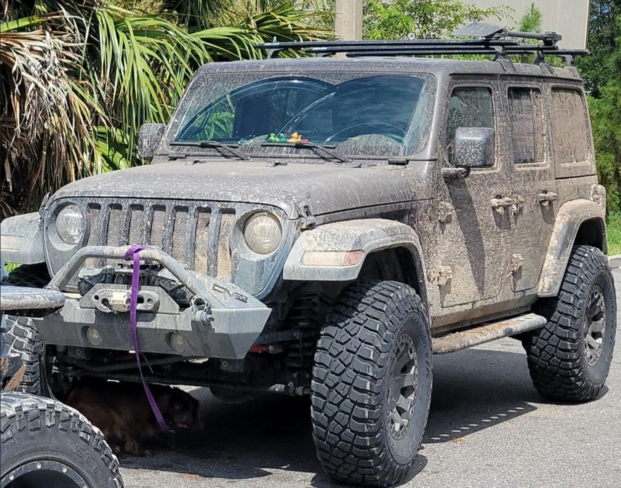 Roamer Earns her first Badge of Honor: Ocala National Forest in FL